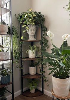 Homey Living Room With Plants, Nic Nacs Decor, Living Room Designs With Plants, Atlanta Photoshoot, Room Plants, Window Sill Decor, Apt Decor, Photoshoot Locations, Living Room Plants