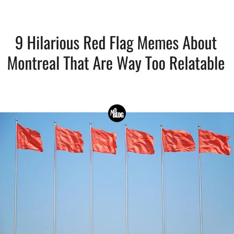 mtlblog.co/7px Twitter Meme, New York Bagel, Red Flags, Red Flag, Warning Signs, When Someone, About Me, Country Flags, Montreal