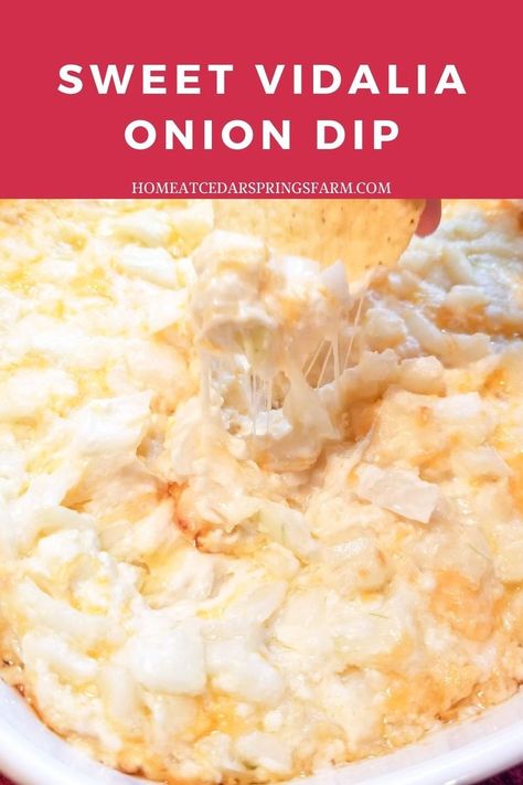 Vidalia Onion Swiss Cheese Dip, Cheesy Onion Dip, Sweet Onion Dip Recipe, Sweet Vidalia Onion Dip, Warm Onion Dip Recipe, Visalia Onion Dip, Crockpot Onion Dip, Warm Onion Dip, Sweet Onion Dip