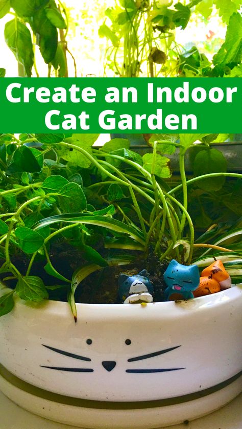 cat garden for indoor cats with cat safe plants Diy Cat Grass Indoor, Plant For Cats, Growing Cat Grass Indoors, Cat Grass Planter Ideas, Toxic Things For Cats, Cat Indoor Garden, Diy Cat Garden Indoor, Cat Herb Garden, Diy For Cats Projects