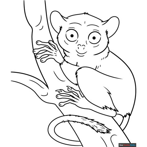 Free Tarsier Coloring Page for Kids Tarsier Drawing, Monkey Coloring Pages, Easy Drawing Guides, Free Printable Coloring Sheets, Drawing Guides, Kids Print, Printable Coloring Sheets, Drawing Tutorial Easy, Coloring Tutorial