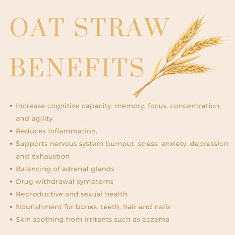 Oat Straw Tea Benefits, Oat Straw Benefits, Oat Straw Tea, Oat Plant, Herbal Nutrition, Support Nervous System, Focus Concentration, Oat Straw, Plant Medicine