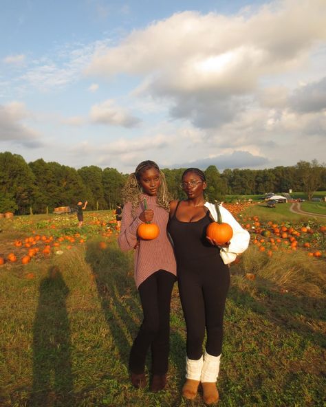 Cutest pumpkins in the patch Cute Pumpkin, Pumpkins, Quick Saves