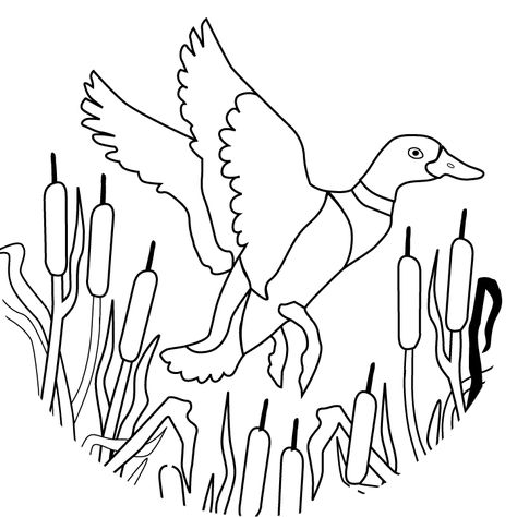 Duck Outline, Duck Coloring Pages, Flying Duck, Wood Burning Stencils, Duck Pictures, Duck Drawing, Duck Pattern, Duck Art, Wood Duck