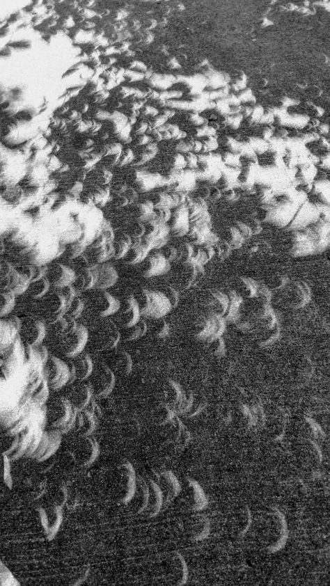 Crescent shadows through the leaves during solar eclipse. Fascinating! Solar Eclipse Shadows, Solar Eclipse, Go Outside, Outdoor Travel, Crescent, The Outsiders, Solar, Photography, Quick Saves