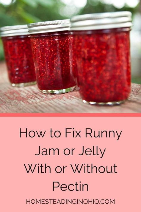 Learn how to fix runny jelly or how to fix runny jam. Fixing runny jelly is easy to do. If your jam is too runny, you can reprocess it to fix runny jam. Learn how to fix runny jam without pectin or by recooking it with pectin and lemon juice. Learn how to thicken runny jam to save your jam or jelly recipe. Jelly too runny? You can save it by reprocessing it or using chia seeds. Fixing runny jam can be done by the batch or by the jar. Also learn why is my jam runny. How To Fix Jam That Didn't Set, Fixing Runny Jelly, What To Do If Jelly Doesn't Set, How To Fix Runny Jelly, How To Fix Jelly That Didnt Set Up, How To Fix Runny Jam, How To Thicken Jam That Didnt Set, Frog Jam Recipe, Jelly Without Pectin