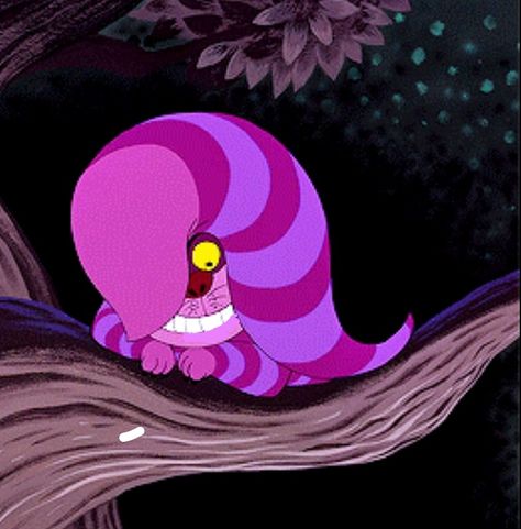 The Cheshire Cat, Cheshire Cat Pfp, Cheshire Cat Alice In Wonderland, Alice In Wonderland Artwork, Wonderland Artwork, Cheshire Cat, Silly Cats, Alice In Wonderland, Funny Cats