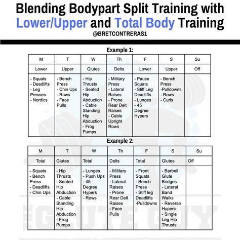 Bret "Glute Guy" Contreras PhD on Instagram: “Those of you who have done bodypart split training probably love focusing on a favorite body part. Personally, I love delt day and glute…” Bret Contreras Workout, Bret Contreras Glutes, Bodyweight Glute Exercises, Split Training, Glute Guy, Bret Contreras, Glute Strengthening, Bum Workout, Glute Exercises