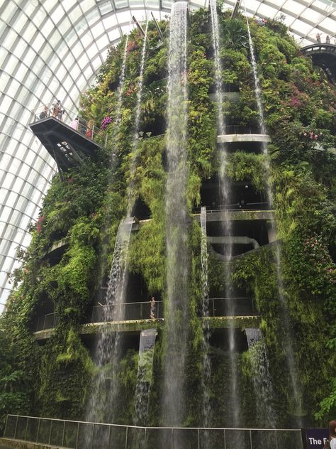 Singapore Garden, Indoor Waterfall, Cloud Forest, French Country Garden, Singapore Travel, Gardens By The Bay, Organic Gardening, Just For Fun, Water Features