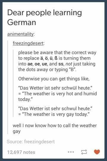 German Memes Funny, German Tumblr, Funny German Words, Tumblr School, German Humor, School Stories, Language Tips, Learning Languages Tips, Learning German