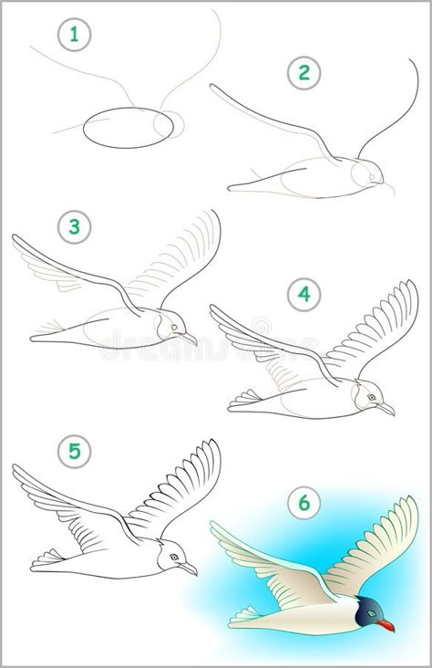 Page shows how to learn step by step to draw a flying seagull. royalty free illustration Seagull Illustration, Landscape Drawing Tutorial, Cartoon Image, Cartoon Sketches, Bird Silhouette, Vector Cartoon, Learn Art, Bird Drawings, Sea Birds