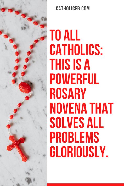 Rosary Novena, Rosary Prayers Catholic, Catholic Prayers Daily, Pray The Rosary, Prayers Of Encouragement, Novena Prayers, Spiritual Prayers, Miracle Prayer, Christian Quotes Prayer