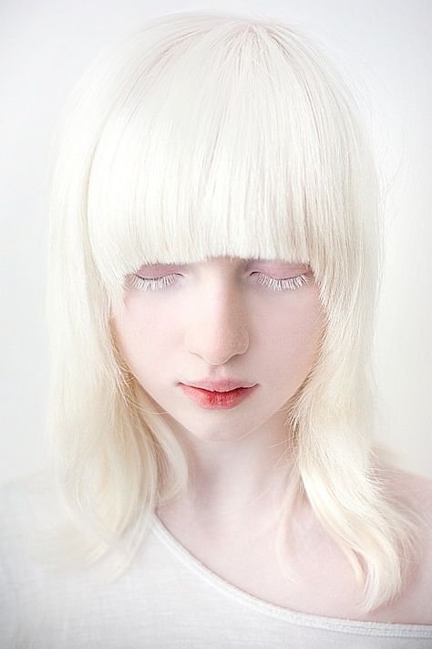 Blonde hair, blonde eyelashes. Dramatic, but too pretty. Almost angelic.  Why do some girls hate their blonde eyelashes? They're pretty and different and they glimmer in the sun. Albino Model, Albino Girl, Foto Art, Pale Skin, 영감을 주는 캐릭터, Dark Beauty, Shades Of White, 인물 사진, White Hair