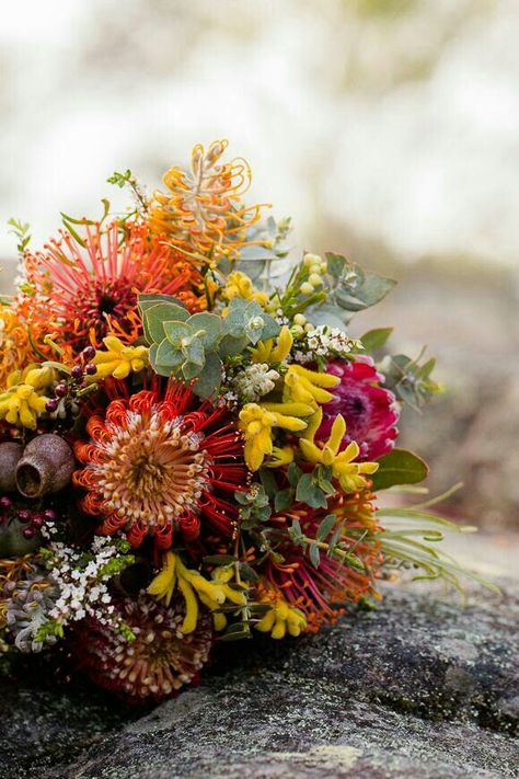 Protea Bouquet, Mountains Wedding, Australian Wildflowers, Protea Flower, Australian Flowers, Australian Native Flowers, Native Australians, Kangaroo Paw, Australian Flora