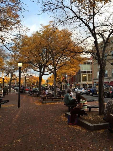 Cambridge Massachusetts Aesthetic, Massachusetts Aesthetic, Somerville Massachusetts, Boston Mass, New England States, Small Town Life, Autumn In New York, Cambridge Ma, Autumn Scenery