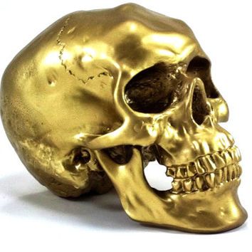 Bling Room, Room Decor Halloween, Tiger Skull, Skull Model, Zombie Costume, Halloween Prop, Skull Candle, Gold Skull, Skull Decor