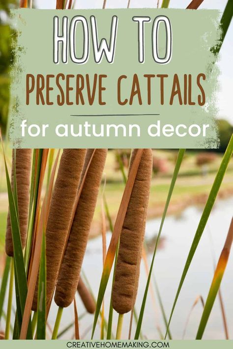 Learn how to preserve cattails for stunning fall decor! Our step-by-step guide shows you how to dry and treat cattails to make them last longer and keep their natural beauty. Use them to create unique centerpieces, wreaths, or other autumnal arrangements. Perfect for adding a touch of rustic charm to your home or event. Pin now to save for later! Foraging Fall Decor, Arrangements With Cattails, Wreath With Cattails, Fall Arrangements With Cattails, How To Dry Cattails, Fall Nature Decorations, Cattail Centerpieces Wedding, Cat Tail Arrangements, How To Preserve Cattails