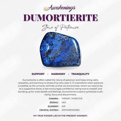 Dumortierite is a stone associated with the Third Eye. Benefits of this stone include: *Helps to encourage patience *Aids in overcoming stage fright and shyness  *Excellent if starting up or running your own business  *This listing is for one stone and informational card. *Dumortierite tumbles range in size, weight, and color. *Images appear larger than the actual size to clearly depict the details of the crystal. Each stone is unique and beautiful, so please expect slight variations in color, texture, and size. All Awakenings crystals are ethically sourced and certified by an in-house gemologist.