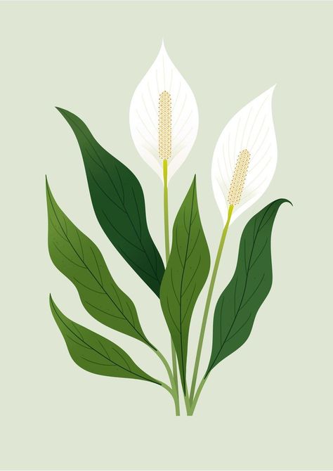 Sarah Abbott, Herbs Illustration, Easy Flower Painting, Flower Graphic Design, Boho Painting, Apartment Art, Origami Paper Art, Lily Plants, Textile Prints Design