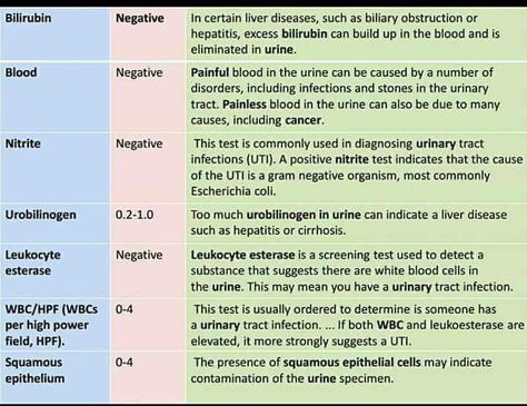 Phlebotomy Notes, Laboratory Values, Health Assessment Nursing, Pathophysiology Nursing, Nursing Procedures, Nursing Cheat, Medical Mnemonics, Basic Anatomy And Physiology, Nurse Study Notes