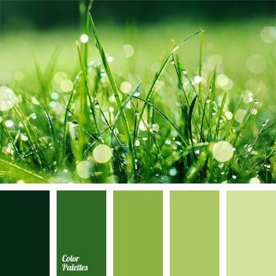 Green Ombre Color Palette, Grass Palette, Mudroom Colors, Grass Color Palette, Flat Bedroom, In Color Balance, Ombre Green, Color Palette Ideas, Palette Ideas