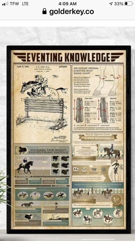 Knowledge Organisers, Infographic Posters, Literature Notes, English Literature Notes, Medical Herbs, Infographic Poster, Gallery Wallpaper, Combat Art, Emergency Prepping