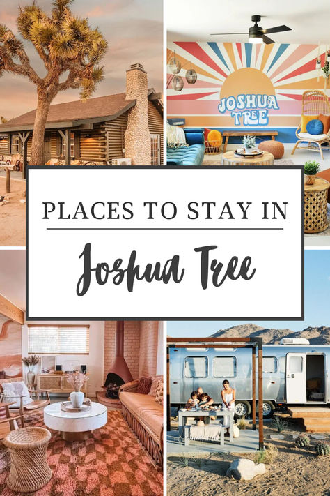 From cozy desert hotels & motels to luxurious and unique vacation rentals, here are some of the best places to stay when visting Joshua Tree National Park in Southern California. Joshua Tree Camping, Southern California Travel, Unique Vacation Rentals, Luxurious Vacation, Tree Camping, Girls Trips, Luxury Glamping, Vacation Usa, Best Spa