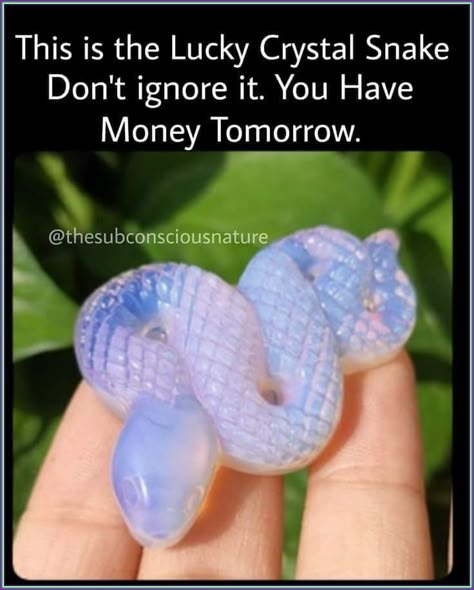 Funny Mind Tricks, Affirmations For Happiness, Luck Quotes, Good Luck Quotes, Mind Tricks, Health Wealth, Manifest Money, Money And Happiness, Money Affirmations