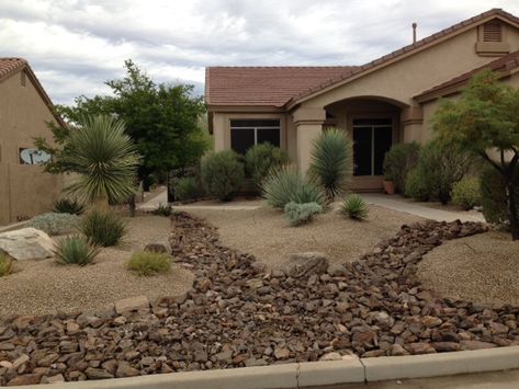 Backyard Landscaping Xeriscape, Small Desert Backyard Ideas, Arizona Front Yard Landscaping, Rockscape Landscaping Ideas, Xeriscape Colorado, Desert Landscaping Front Yard Arizona Native Plants, Desert Landscaping Front Yard, Large Yard Xeriscape, Xeroscaping Backyard