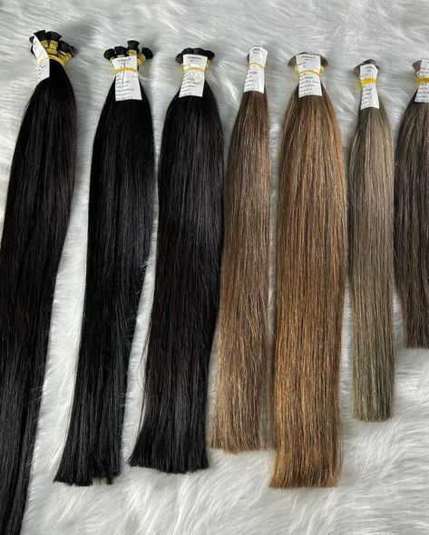 Vietnamhair Factory Supply 💯 human hair Best Quality- Best Price +84 345148213 (WhatsApp) wholesale price #hairextensions #haircolorist #humanhair #tapeinextensions #invisibletape #weftedhair #bulkhair Tape In Extensions, Hair Colorist, March 21, Hair Extensions, Human Hair, Human, Hair, On Instagram, Instagram