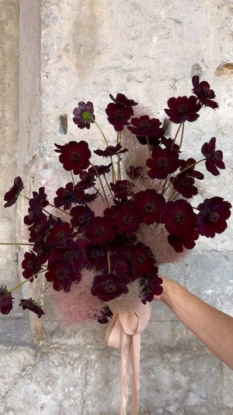 Valentines Day Flowers, Chocolate Cosmos, Boquette Flowers, A Bouquet Of Flowers, Flower Therapy, Amaranth, Wedding Aesthetic, Bouquet Of Flowers, Arte Floral