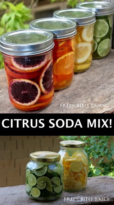 Soda Stream Recipes, Soda Alternatives, Ginger Soda, Healthy Soda, Homemade Soda, Fermentation Recipes, Drink Recipes Nonalcoholic, Soda Recipe, Fermented Drink