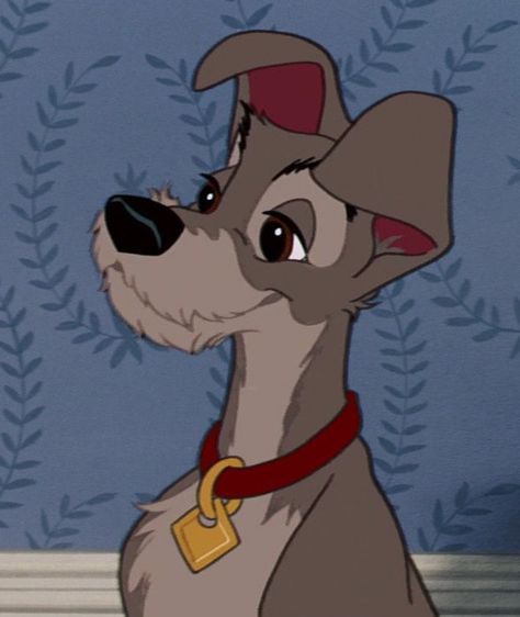 Male Protagonist, Lady And The Tramp, A Cartoon, Film, Disney, Red, Blue