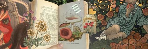 Mushroom Twitter Header, Cottage Core Header, Indie Header, Mushroom Banner, Indie Illustration, Cottage Core Mushroom, Red Moodboard, Twitter Aesthetic, Twt Header