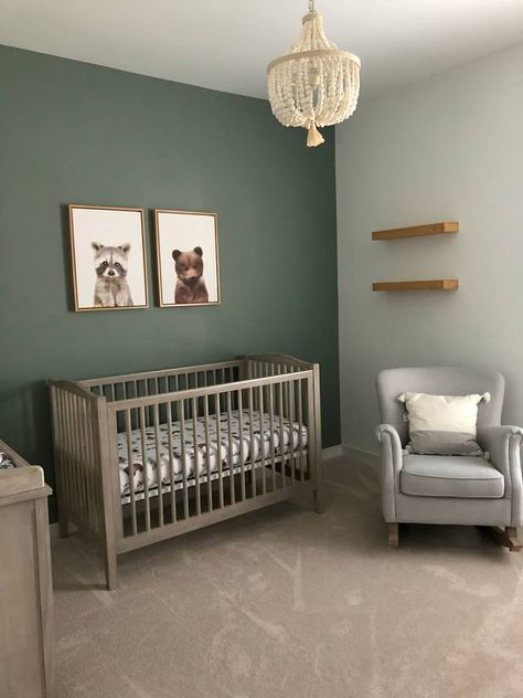 Forest Green Baby Nursery, Forest Green Nursery Boy, Forest Green Nursery, Grey Crib Nursery, Green Nursery Girl, Nursery Room Colors, Green Baby Nursery, Boys Room Colors, Baby Boy Room Colors