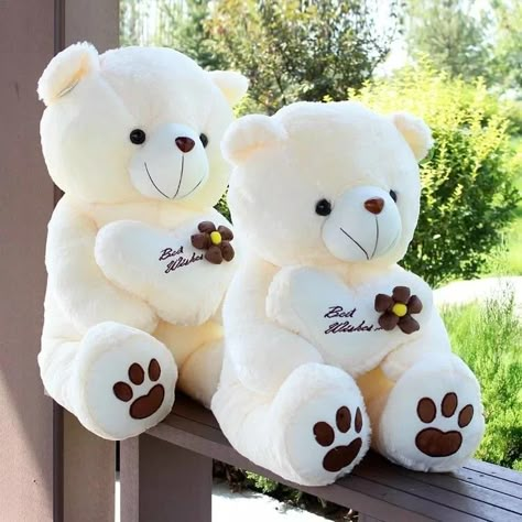 Teddy Bear Images Cute Love, Taddy Teddy Wallpapers Cute, Taddy Teddy Love, Bear Baby Shower Theme Decoration, Bear Themed Baby Shower Ideas, Teddy Bear Baby Shower Decorations, Baby Shower Teddy Bear, Teddy Bear Baby Shower Theme, Cute Teddy Bear Pics