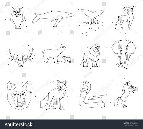 Collection of animals constellation on white background. Wild animals with line and stars, horoscope style. Constellation animals for cards, elephant, owl, wolf and other animal #Ad , #SPONSORED, #Wild#background#stars#line Constellation Animals, Wild Background, Background Stars, Moody Bedroom, Wild Animals, Royalty Free Photos, New Pictures, Constellations, Animals Wild