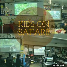 Take your students on a LIVE safari everyday of the week! Safari Classroom Transformation, Safari Classroom, First Year Teaching, Summer Classes, Philosophy Of Education, Fun Classroom Activities, Classroom Transformation, Whole Brain Teaching, Social Studies Elementary