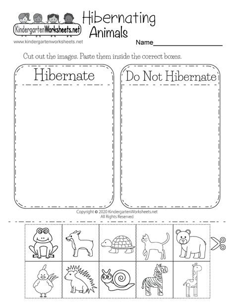 Hibernating Animals Worksheet for Kindergarten - Free Printable, Digital, & PDF Preschool Winter Animals Theme, Hibernation Activities For Kindergarten, Hibernation Day Kindergarten, Hibernation For Preschool, Preschool Hibernation Crafts, Animals Hibernate Preschool, Animals That Hibernate Crafts, Winter Hibernation Preschool Crafts, Hibernation Activities For Kids