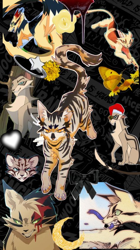 Warrior cats Longtail collage Warrior Cats Longtail, Future Wallpaper, Cat Icon, Warrior Cat, Long Tail, Warrior Cats, Collage