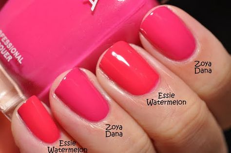 Essie: Watermelon Watermelon Nail Polish, Opi Pink Orange Nail Polish, Essie Coral Nail Polish, Opi Coral Red Nail Polish, Essie Watermelon, Opi Fuschia Nail Polish, Essie Watermelon Nail Polish, Watermelon Nail, Bar Palette