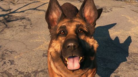 Dogmeat Fallout, Character Alphabet, Can Your Pet, Alphabet Challenge, Fallout 4 Mods, Fallout Game, National Puppy Day, Puppy Day, Wildest Fantasy