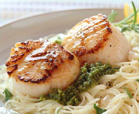 Rosemary Pesto Meat Gifts, Pasta Pesto, Delicious Seafood Recipes, Seared Scallops, Angel Hair Pasta, Scallops Seared, Seafood Pasta, Perfect Pasta, Angel Hair