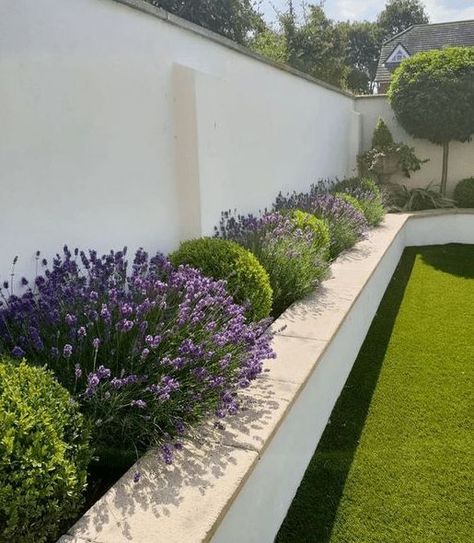 Moderne Have, Minimalist Garden, Back Garden Design, Landscape Products, Desain Lanskap, Modern Landscape Design, Modern Garden Design, Have Inspiration, Outdoor Gardens Design