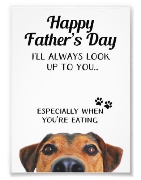 Father’s Day Cards from the Dog Father’s Day Cards from the Dog I’ll Always Look Up To You… Especially when... The post Father’s Day Cards from the Dog | Novelty and Custom Cards appeared first on Irony Designs Fun Shop. Happy Father’s Day Dogs, Happy Dog Fathers Day, Farther Days Card Quotes, Dog Dad Fathers Day Cards, Pet Dad Father's Day, Dog Fathers Day Gift Ideas Diy, Funny Dog Cards, Dog Dad Fathers Day Gift Ideas, Funny Father’s Day Cards