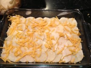 Hatch green chili scalloped potatoes | Not Your Normal Steam Green Chili Scalloped Potatoes, Hatch Green Chili, Hatch Chili, Green Chili, Cheesy Potatoes, Scalloped Potatoes, Green Chilies, Christmas Recipes, Macaroni And Cheese