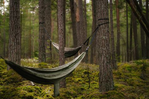 Hammock In Forest, Hammock In Woods, Forest Hammock, Hammock Aesthetic, Ground Photo, Moss Growing, Mountain Aesthetic, Unfortunate Events, Deep Woods