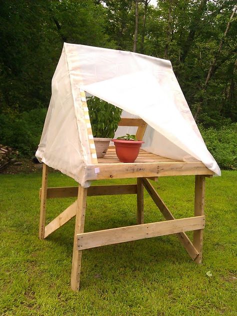 Easy & Cheap pallet table top greenhouse, saves money and space. Start 50 seedlings ! Seedling Table, Table Top Greenhouse, Pallet Greenhouse, Diy Mini Greenhouse, Porch Greenhouse, Greenhouse Diy, Pallet Table Top, Cheap Greenhouse, Best Greenhouse