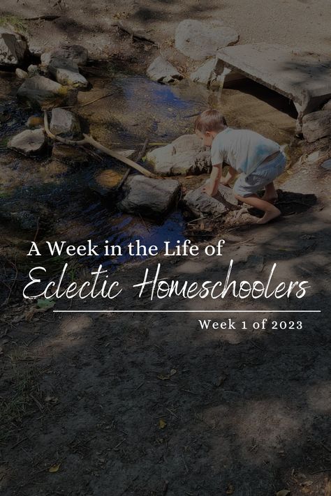 What goes on in an Eclectic Homeschool? Find out in the day-by-day description of what Eclectic Homeschooling can look like. Find out more about the Eclectic Homeschool method, and what will and will not work for you. Curious to see how you can have a great Homeschool without a strict method, schedule, or curriculum? Relaxed Eclectic Homeschooling might just be for you! Good And The Beautiful Homeschool, Explode The Code, Eclectic Homeschooling, Emotionally Drained, Homeschool Schedule, Homeschool Planning, Unschooling, Spanish Lessons, It Gets Better