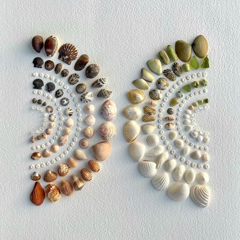 Shell Collection Ideas, Art Using Sea Shells, Mini Seashell Crafts, Shell Ideas Projects, Shells On Canvas, Diy Seashell Crafts, Seashell Diy, Shell Pictures, Craft Paper Flowers